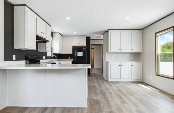 Homestead 56 HSD16562A kitchen6
